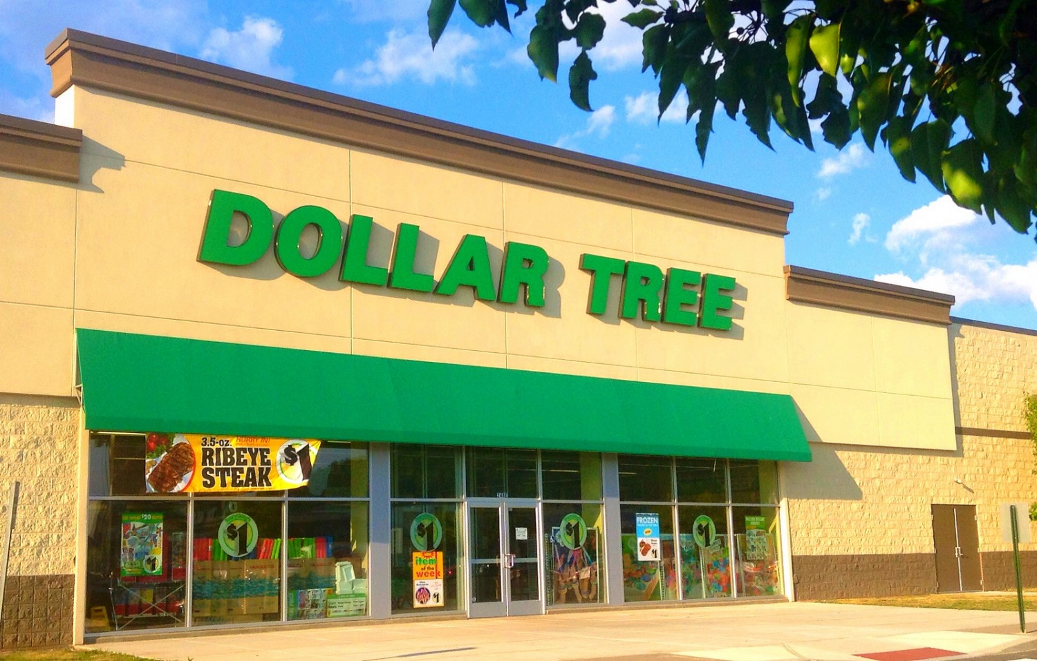 8 Items You Should Always Buy At Dollar Tree