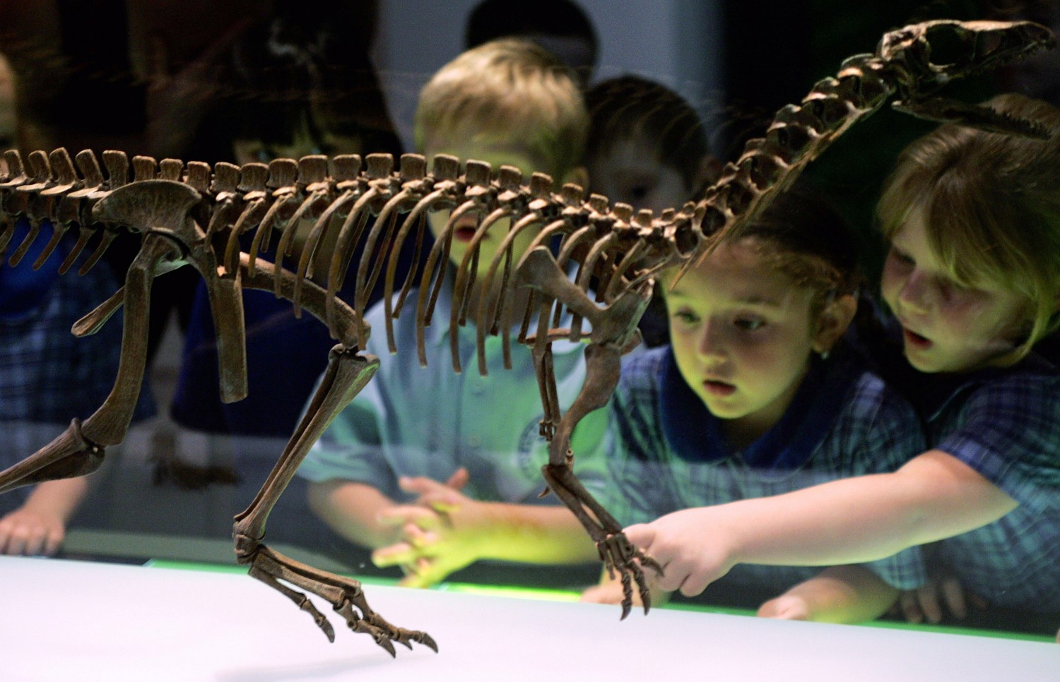Dinosaurs Exhibition Opens In Sydney
