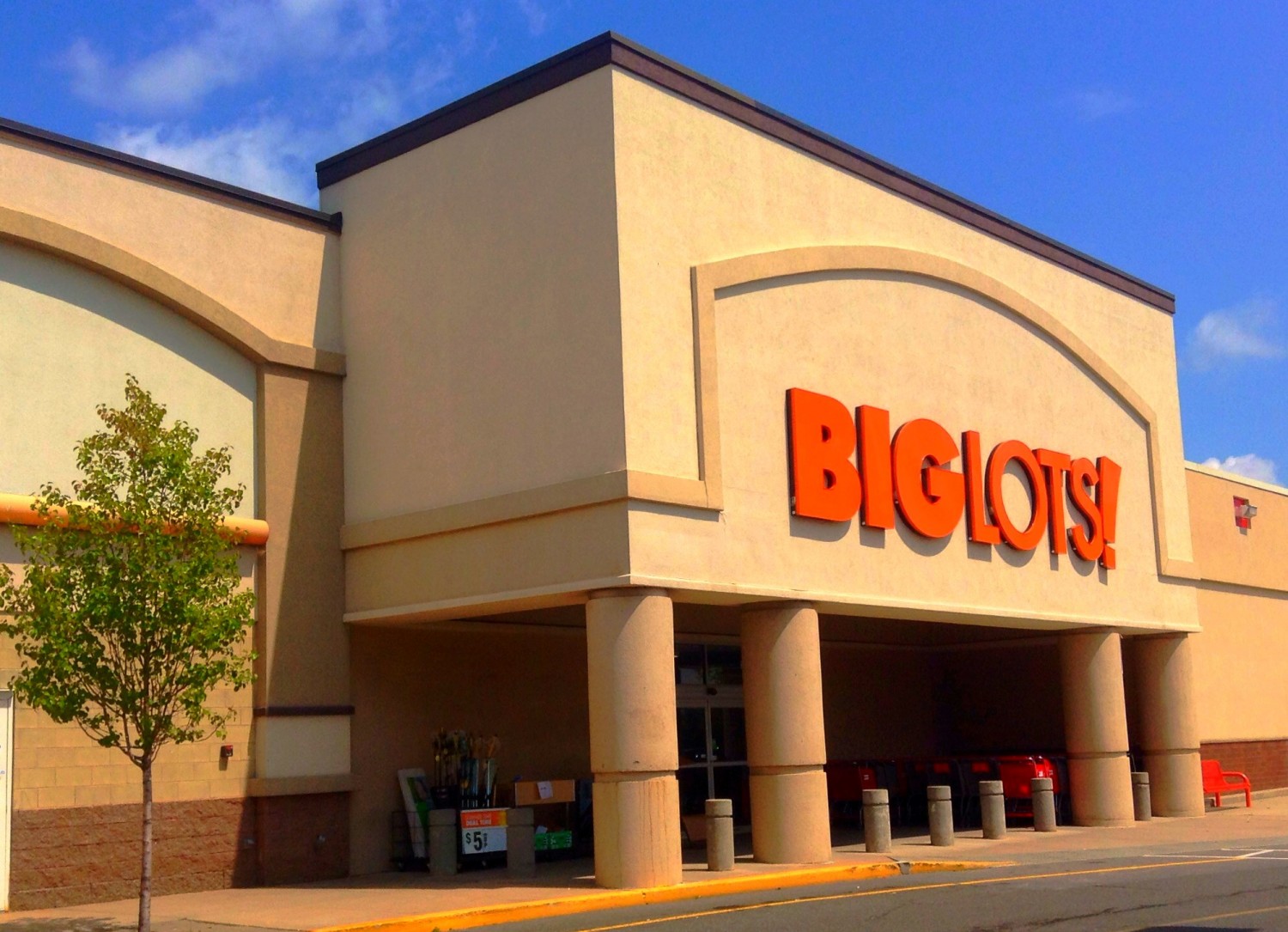 Big Lots Coupon Saves You Up To $100 - DWYM