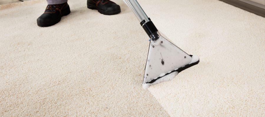 Best Carpet Cleaners