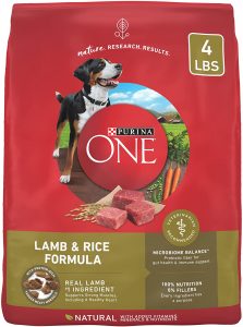 Purina ONE SmartBlend Omega-6 Dry Dog Food