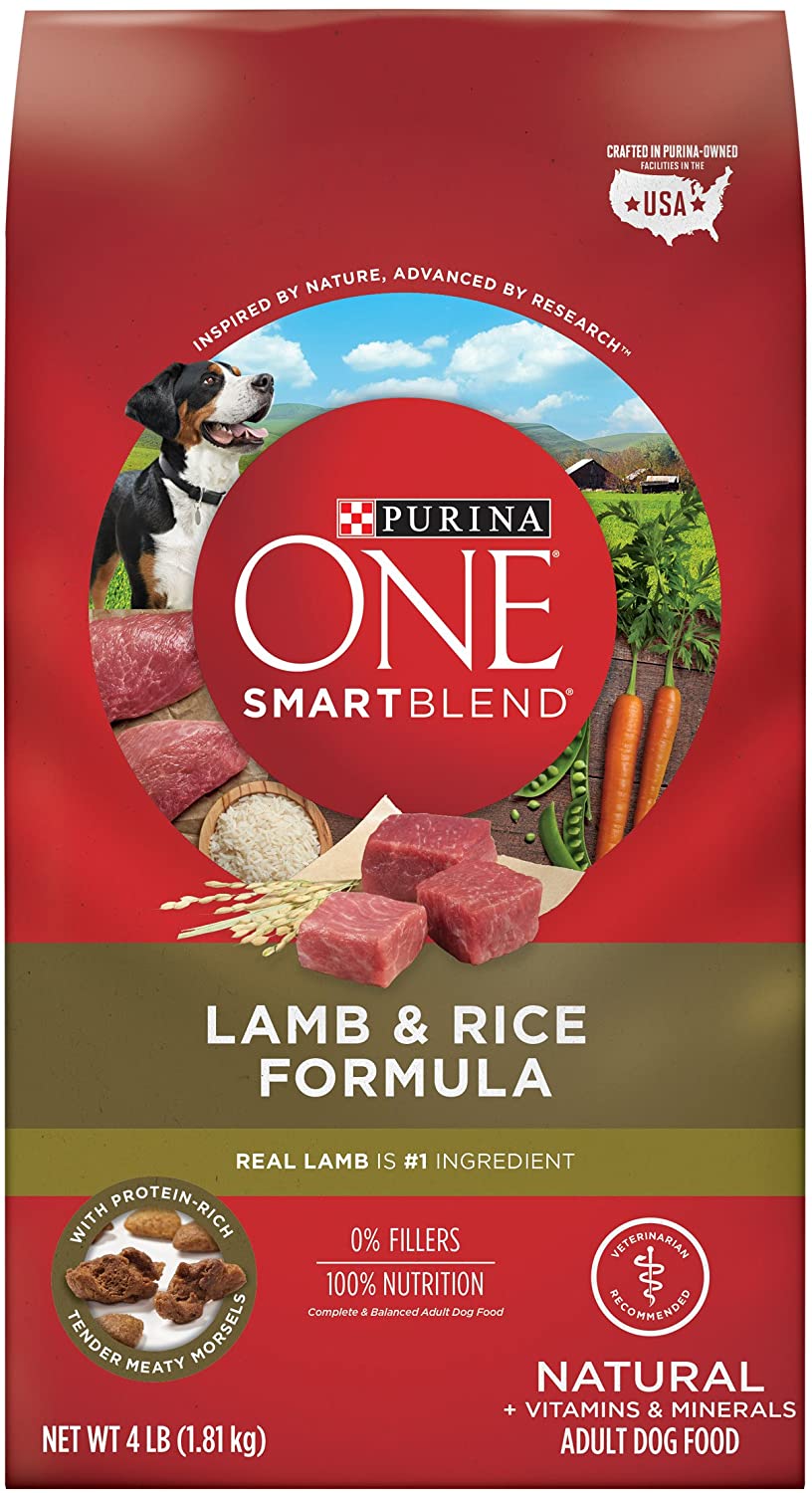 Purina ONE SmartBlend Omega-6 Dry Dog Food
