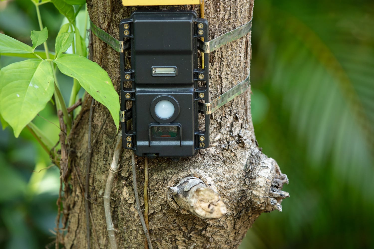 best trail camera