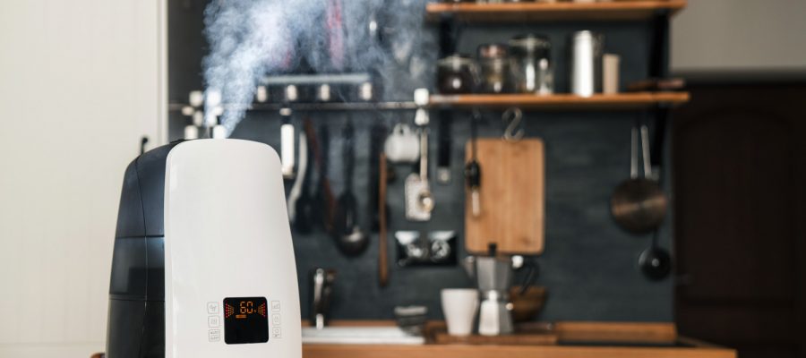 Best Home Humidifier