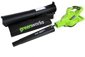 Greenworks Mulching Long-Lasting Leaf Blower