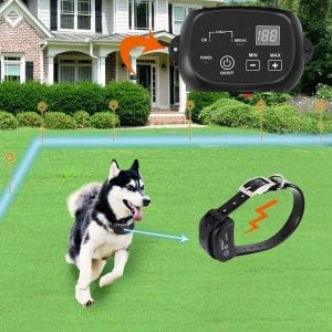 COVONO Dog Training Unlimited Collars Invisible Fence
