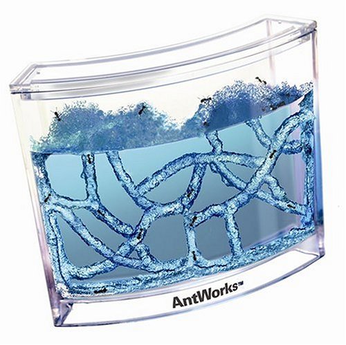 Fascinations AntWorks Ant Farm