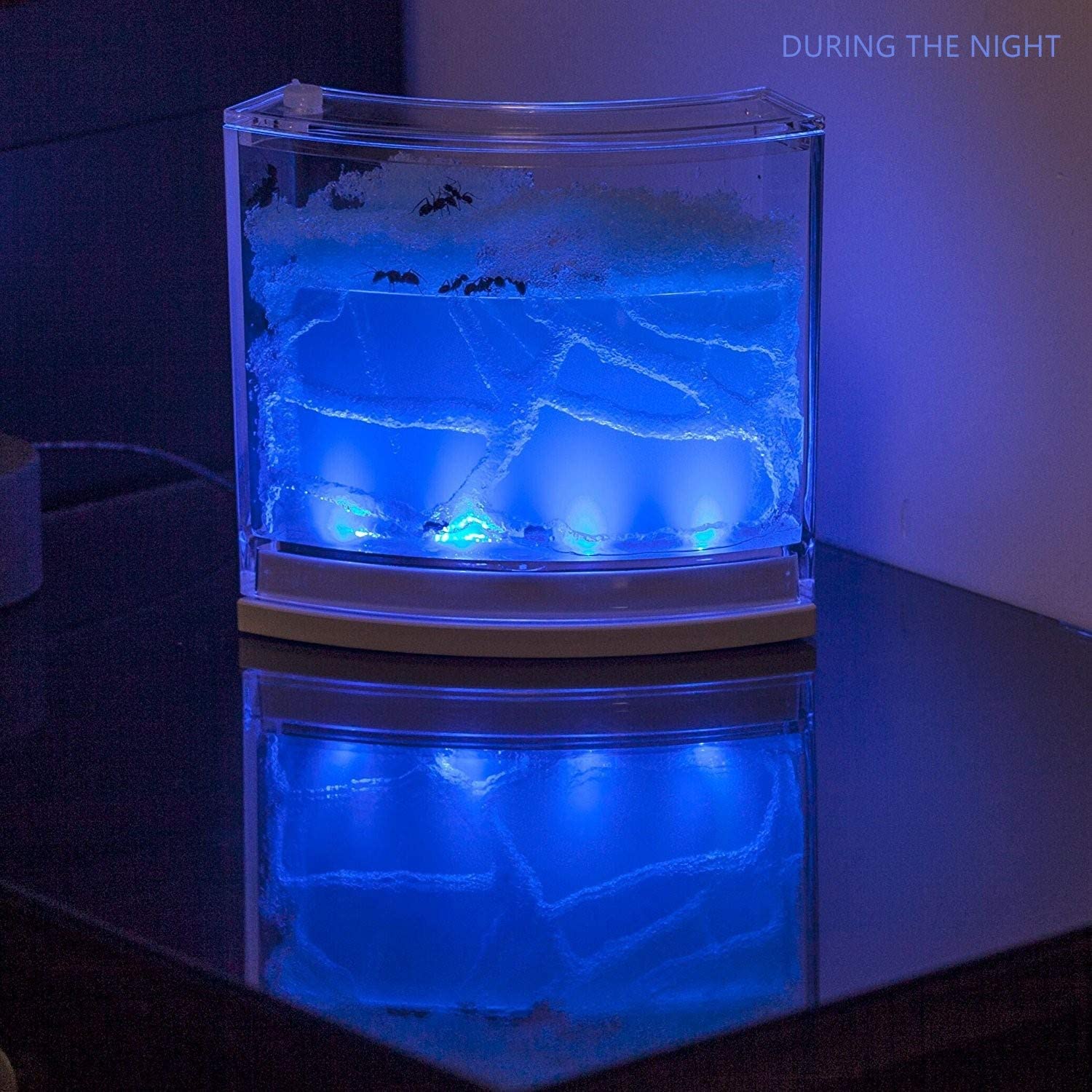 NAVADEAL Learning Lighted Ant Farm