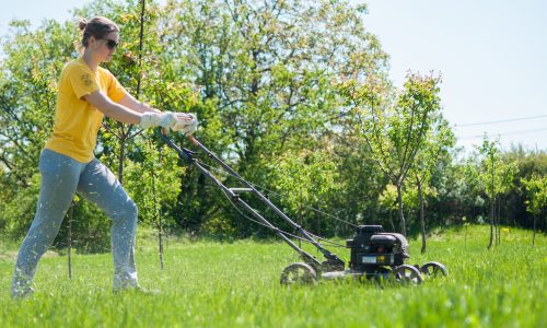 Woman mows lawn