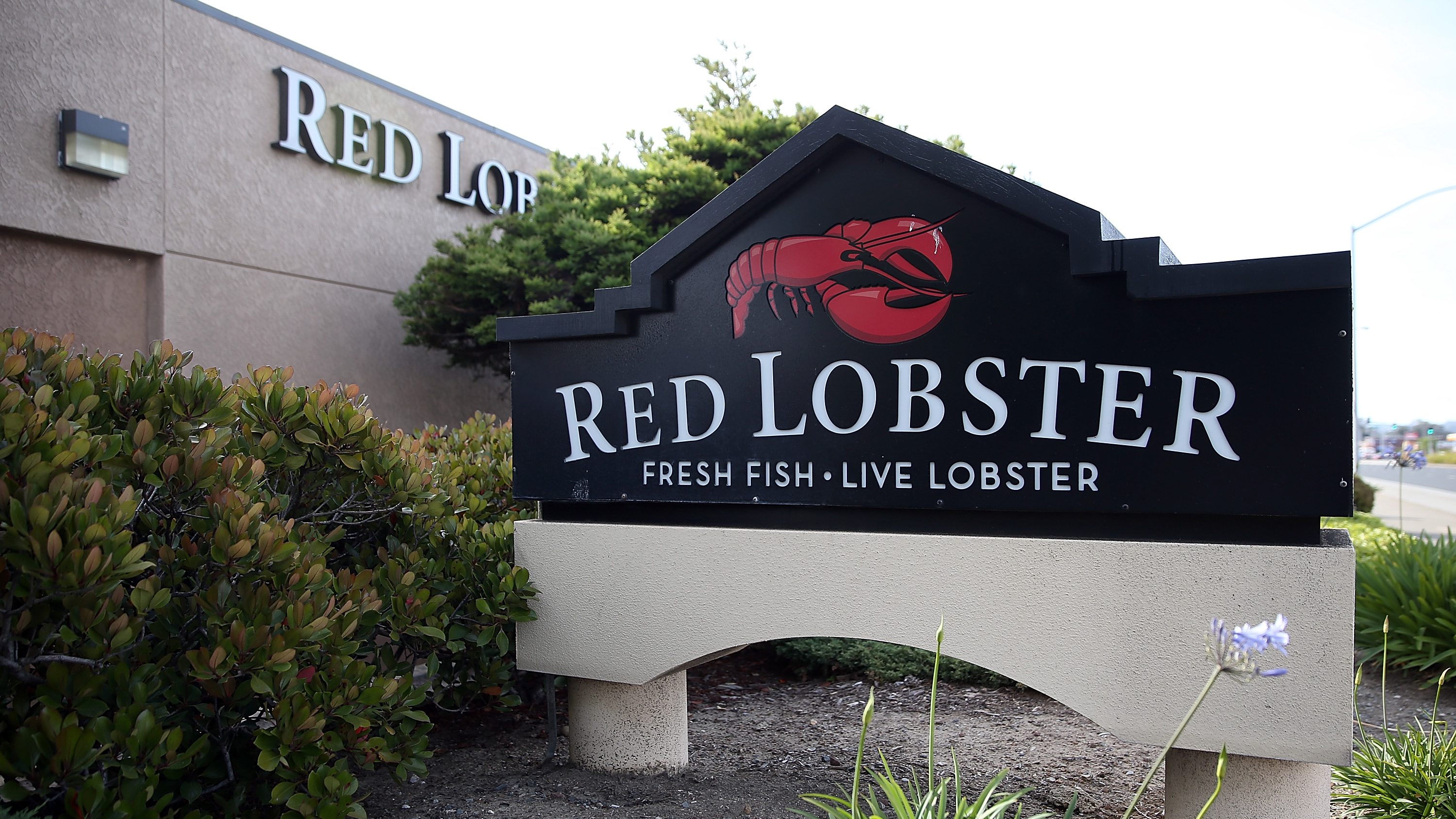 Red Lobster Is Hiring For A Variety Of Positions At 12 Northeast Ohio Locations [ 1687 x 3000 Pixel ]