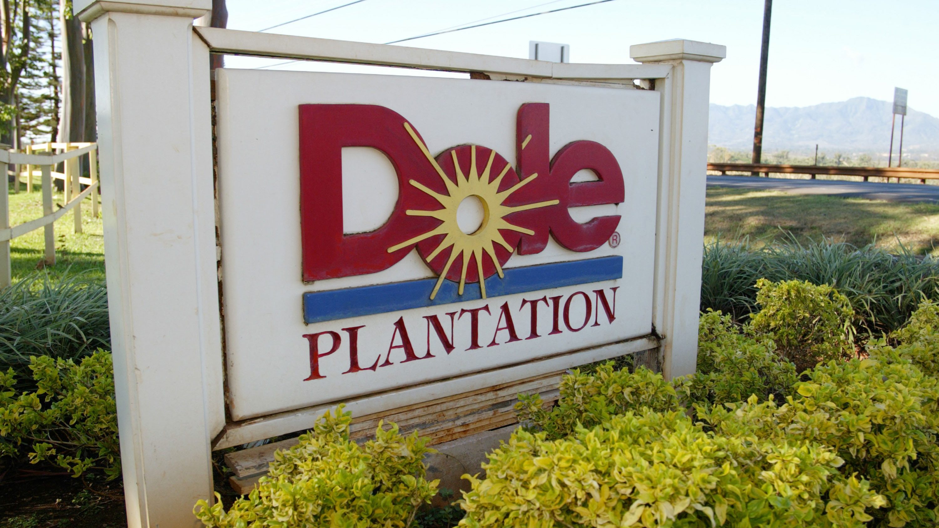 Dole Shares Rise on CEO Buyout Offer