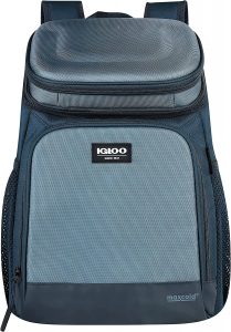 Igloo Switch Marine Backpack Cooler