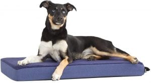 BarkBox Orthopedic Ultra Plush Dog Mattress