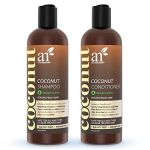 ArtNaturals Anti-Frizz Organic Shampoo & Conditioner Set