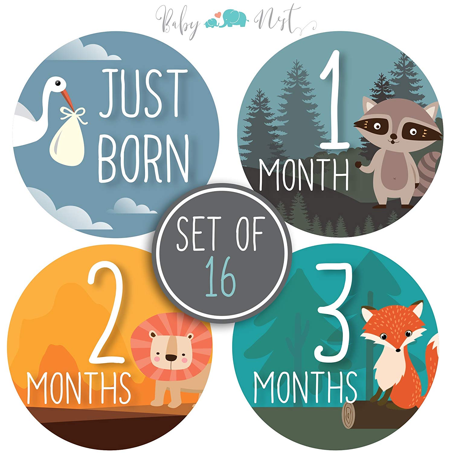 Baby Nest Designs Monthly Milestone Stickers