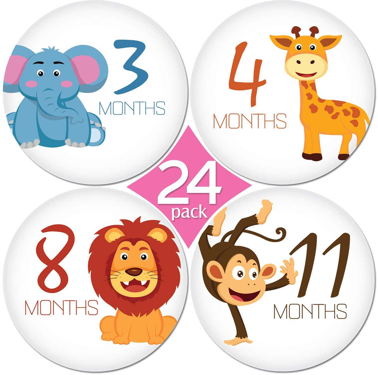 KiddosArt Monthly Baby Milestone Stickers