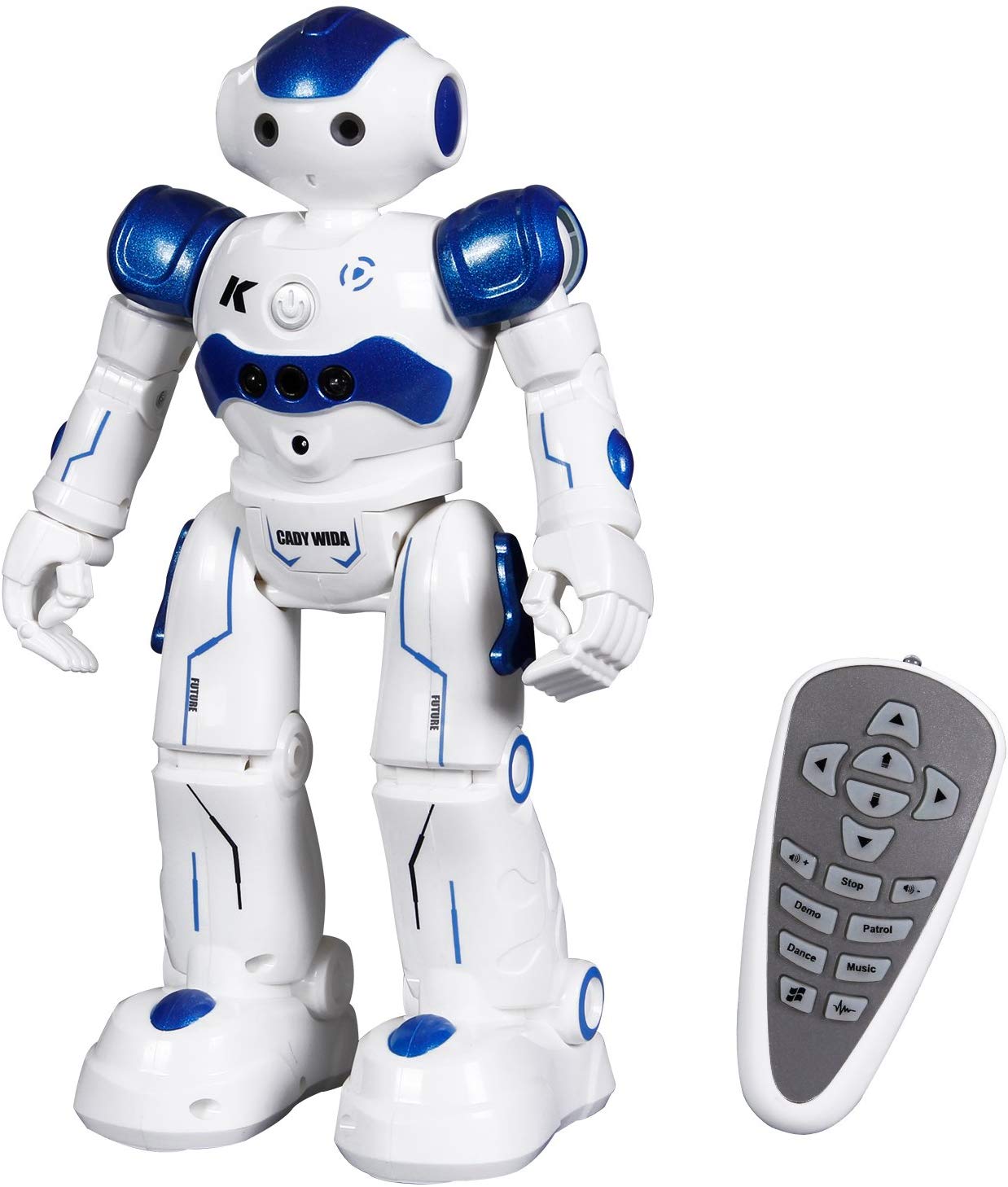 Toch RC Robot Toy