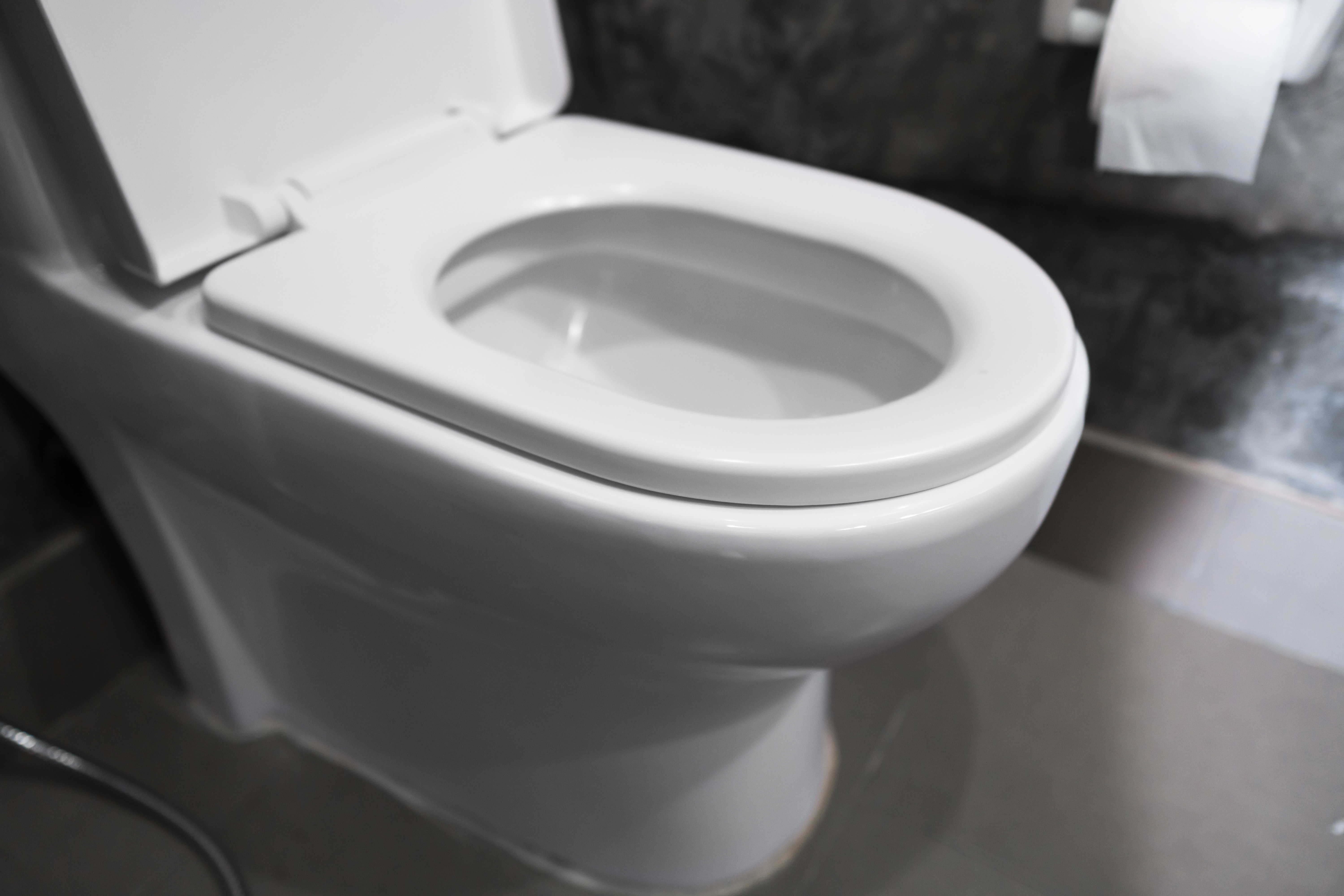 The Best Toilet Seat Cover  Reviews, Ratings, Comparisons