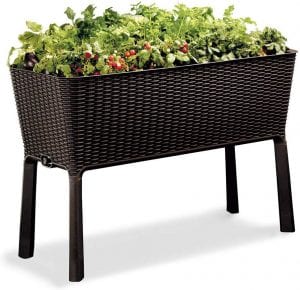 Keter Raised Box Planter & Garden Bed