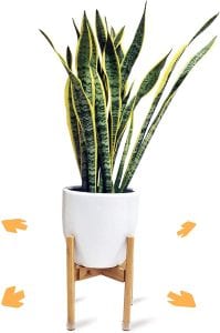 Radiant Royals Cylindrical Bamboo Indoor Plant Stand