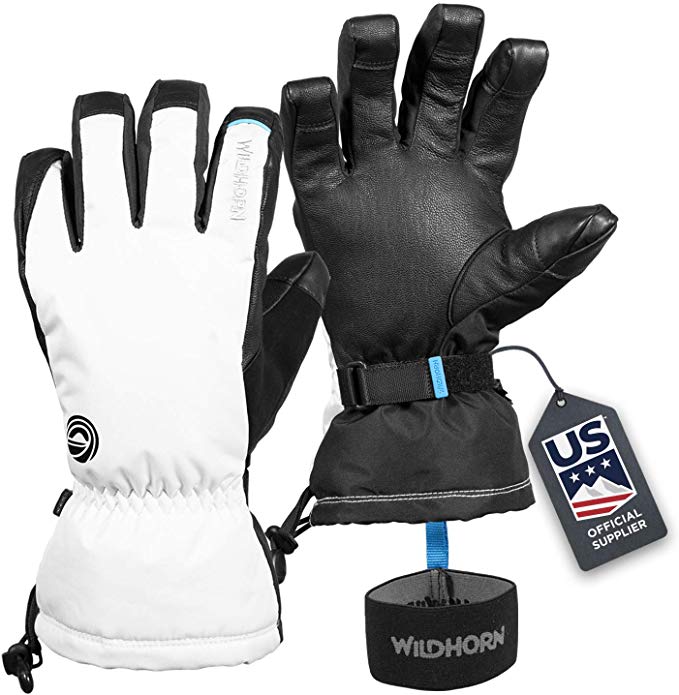 Wildhorn Tolcat Unisex Waterproof Leather & Touchscreen Compatible Ski Gloves