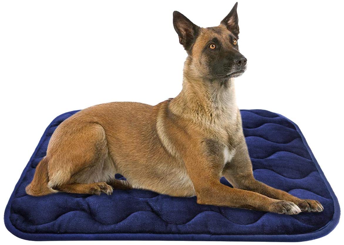 AIPERRO Anti-Slip Cozy Pet Bed For Office