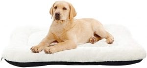 ANWA Cotton Machine Washable Pet Bed For Office