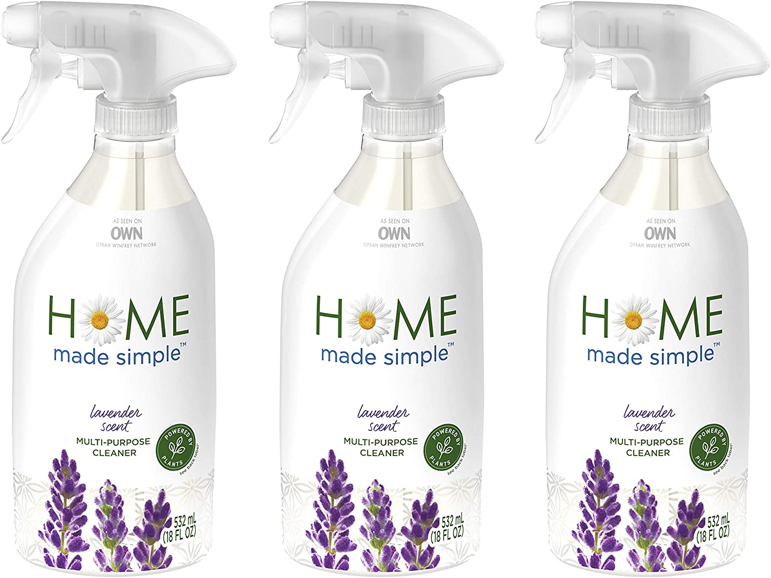 Home Made Simple All Purpose Cleaner