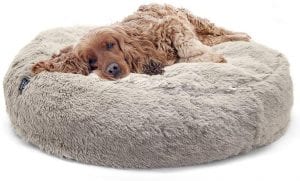 Sport Pet Plush Foam Pet Bed For Office