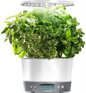 AeroGarden Harvest Elite 360 LED Lights Herb Garden Kit