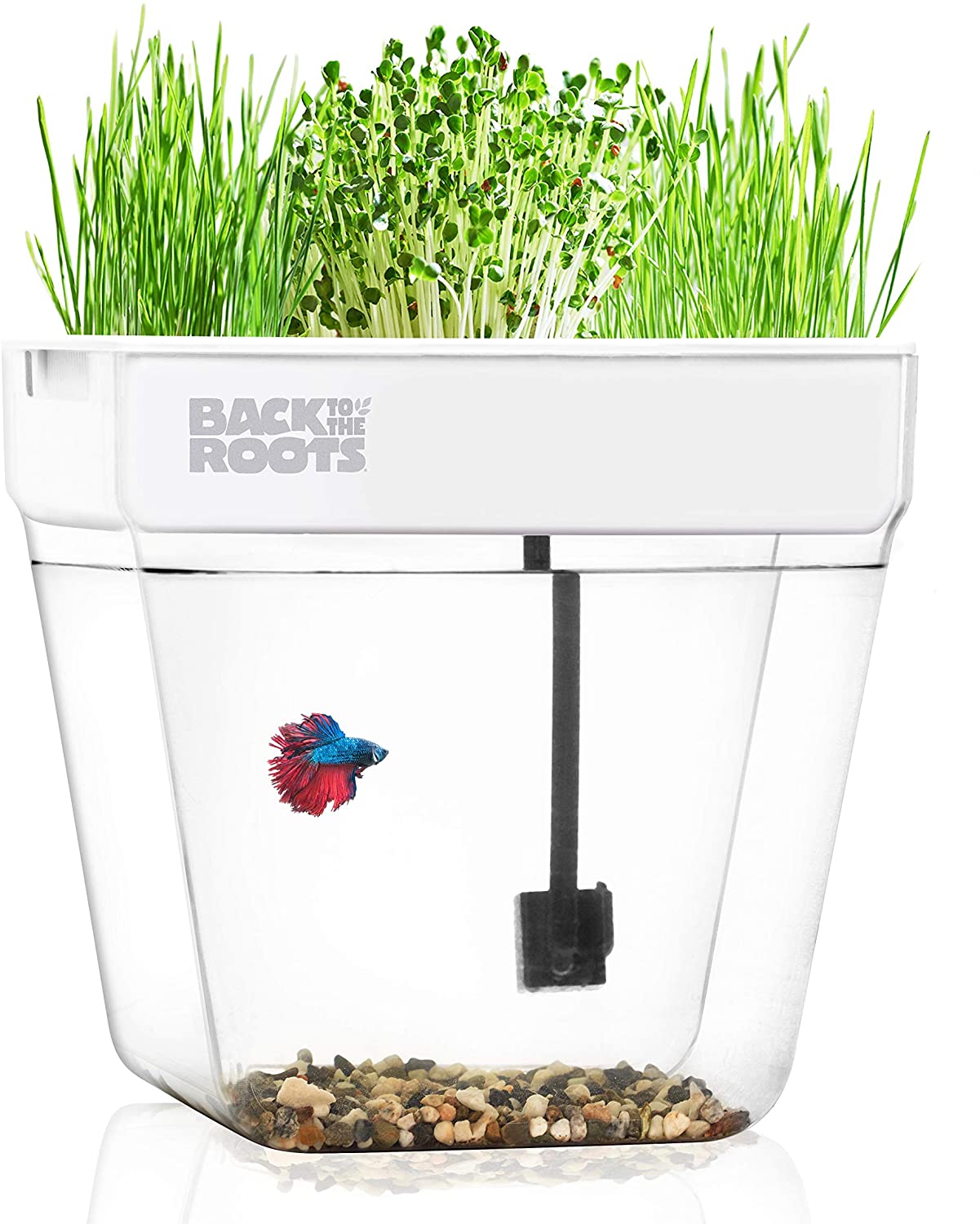Back To The Roots Fish Tank Herb Garden Kit