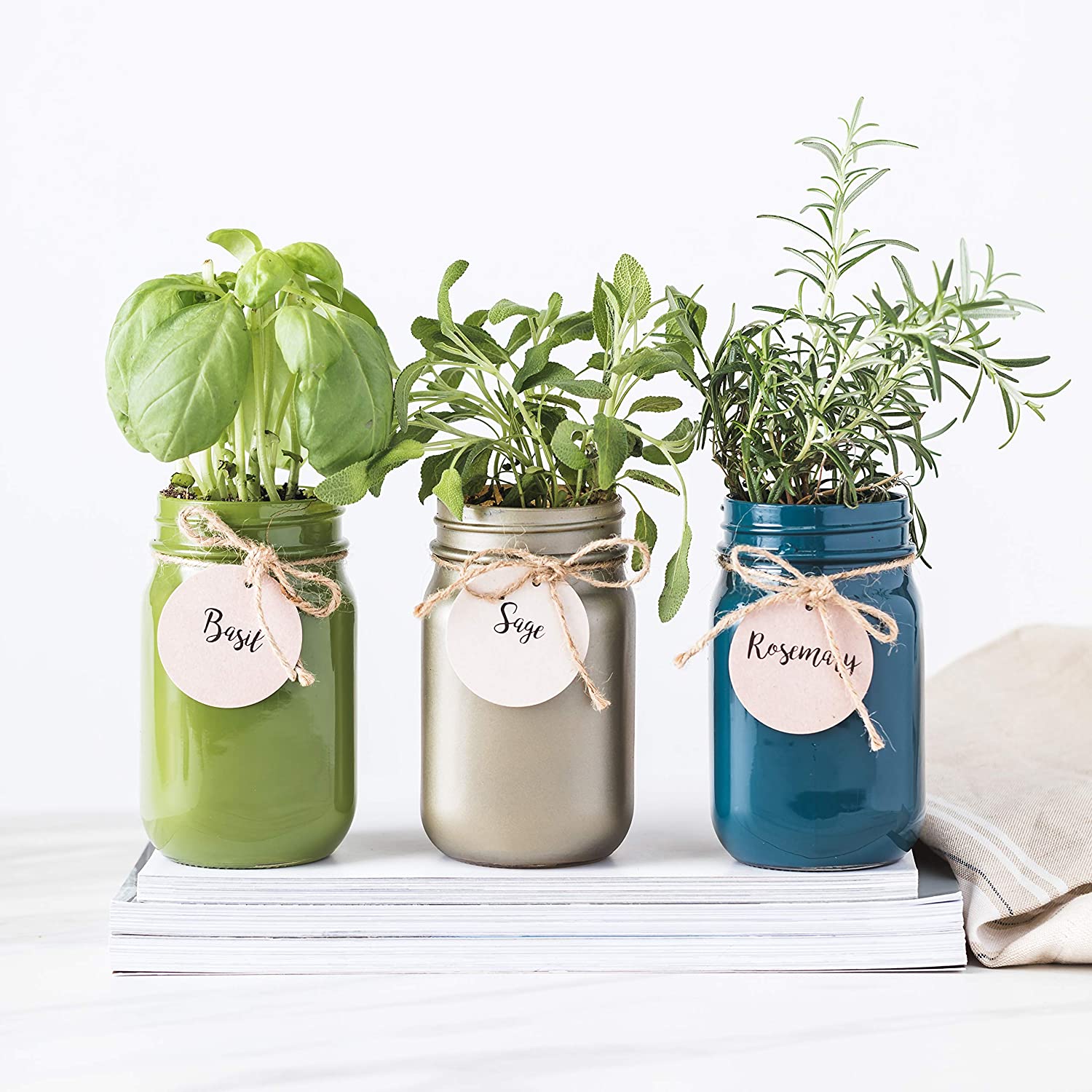 Thoughtfully Mason Jar Herb Garden Kit