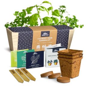 Urban Leaf Beginner-Friendly Indoor Windowsill Herb Garden Kit