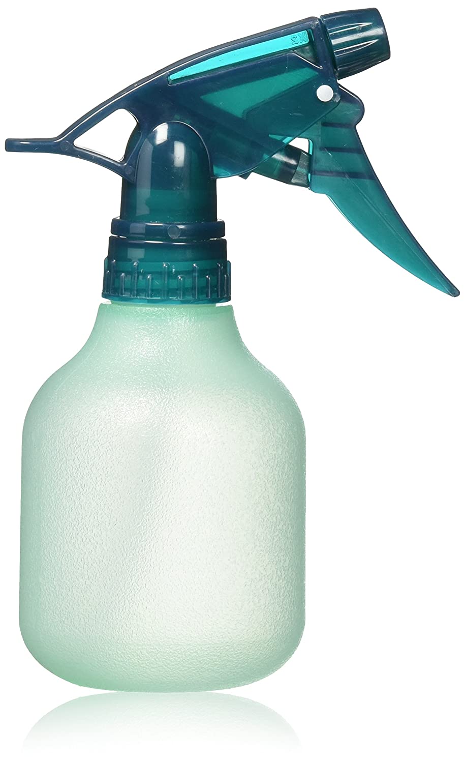 Rayson Frosted Spray Bottle