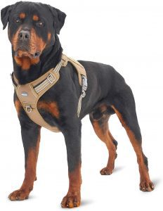Auroth Army Breathable Mesh Large Dog Harness