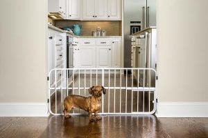 Carlson Pet Products Lil’ Tuffy Adjustable Extra Wide Pet Gate, 38-Inch