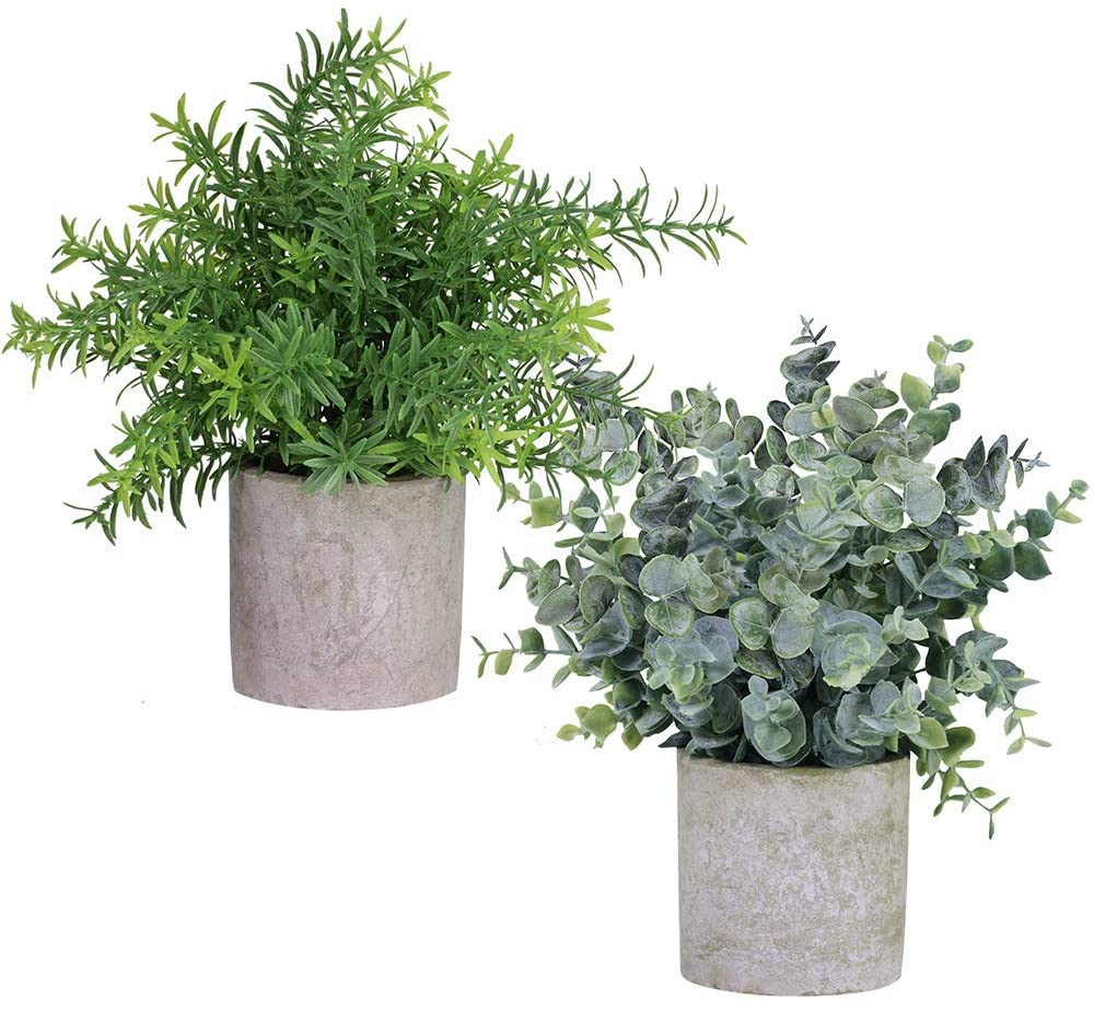 Winlyn Biodegradable Realistic Artificial Plants, 2-Pack
