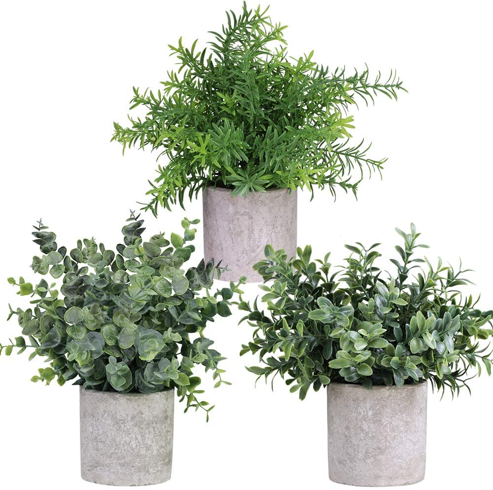 Winlyn Compact Herbal Artificial Plants, 3-Pack