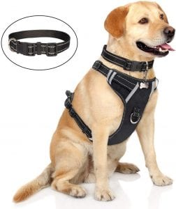 WINSEE No-Pull Easy Control Large Dog Harness