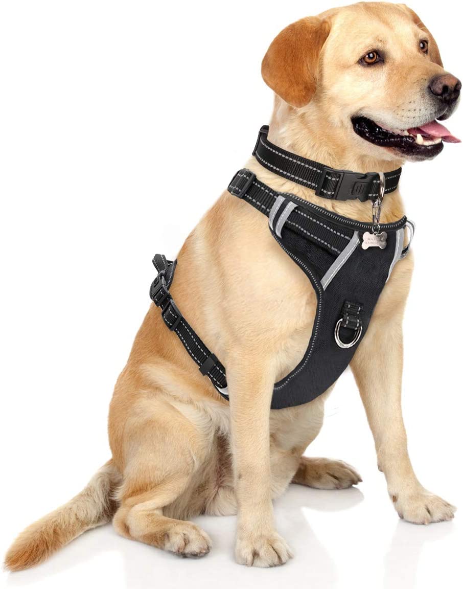 WINSEE Snap Buckle Nylon Large Dog Harness