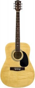 Glen Burton GA101BCO-NT Dreadnaught Acoustic Guitar