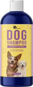 Honeydew Natural Deodorizing Pet Shampoo, 8-Ounce