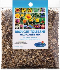 Beauty Beyond Belief Drought Resistant Wildflower Seeds