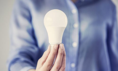 Best Dimmable Light Bulbs