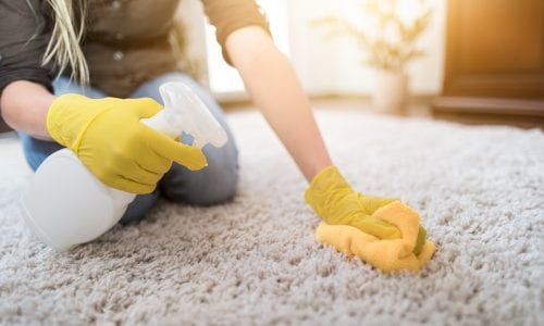 Best Rug Cleaning Products