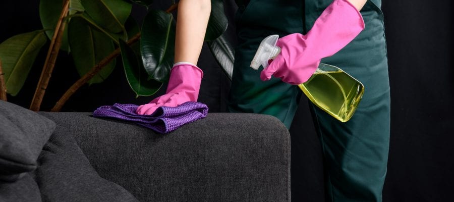 Best Upholstery Cleaners