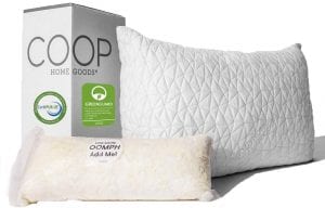 Coop Home Goods Hypoallergenic Adjustable Loft Pillow
