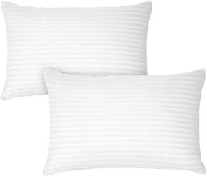 DreamNorth Dust Mite Resistant Chemical-Free Gel Pillows, 2-Pack