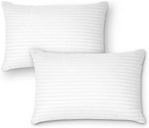 DreamNorth Hypoallergenic Gel Pillows, 2-Pack