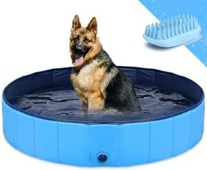 GoStock Large Collapsible Dog Swimming Pool